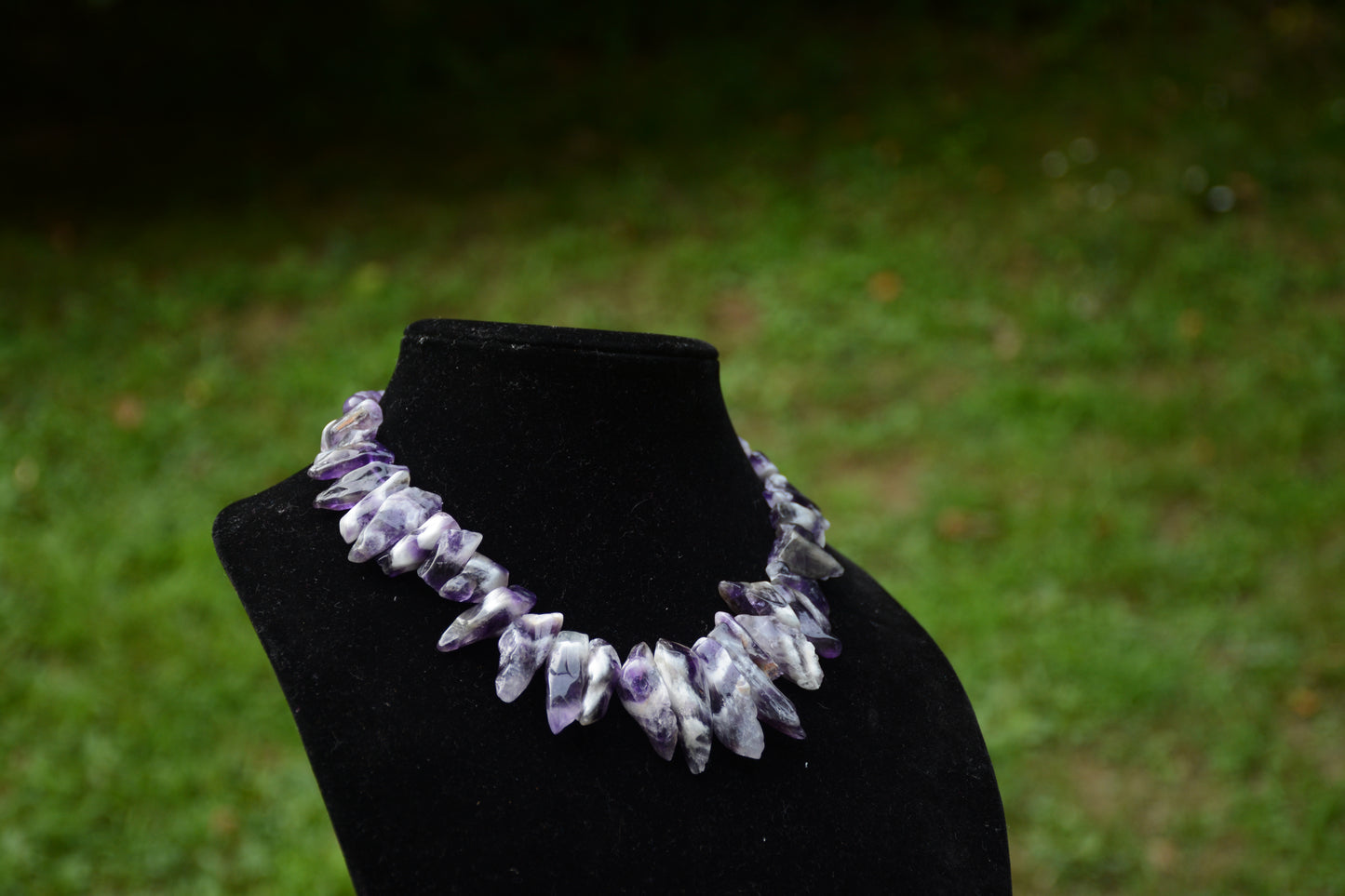 Violeta