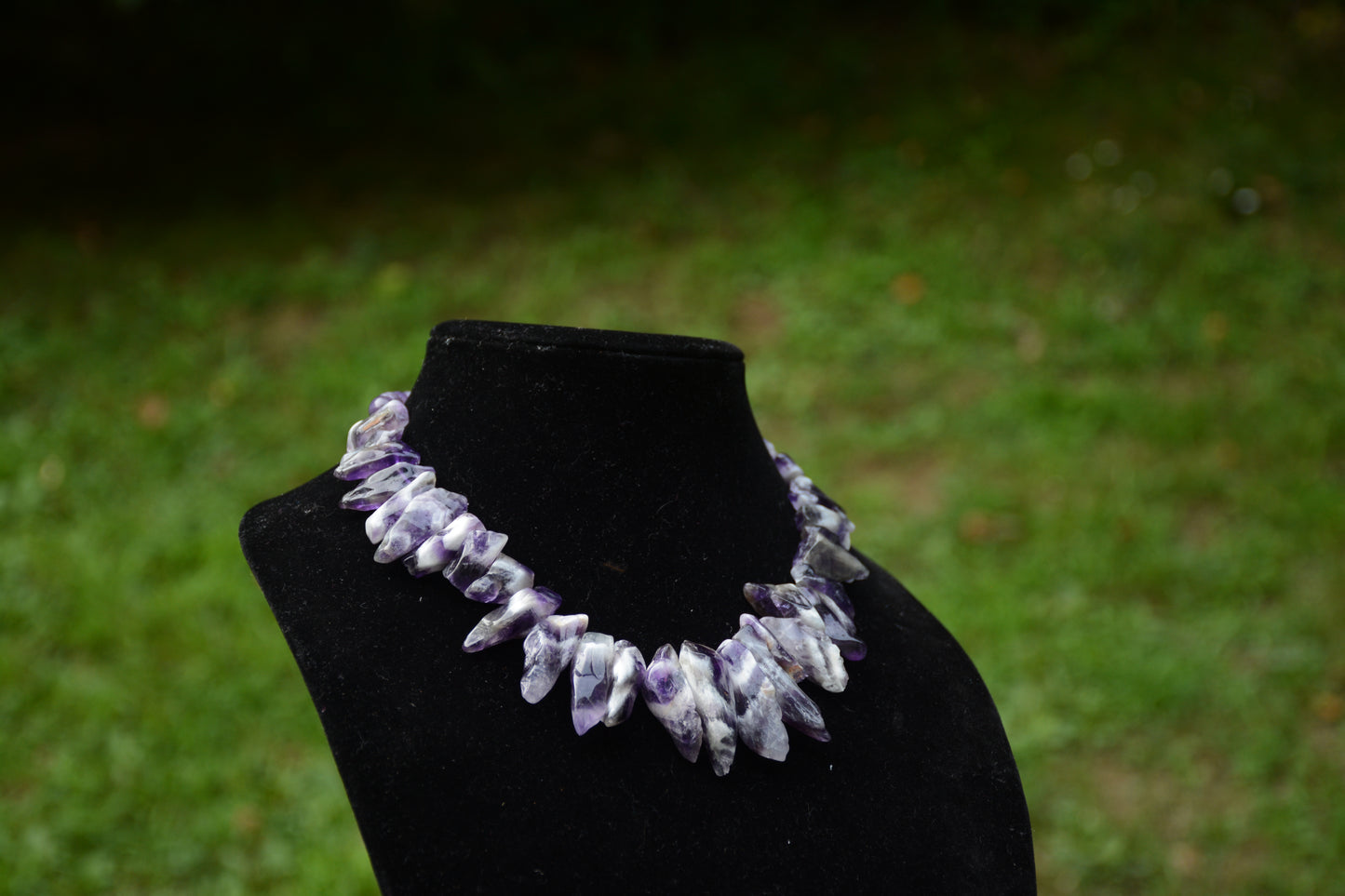 Violeta