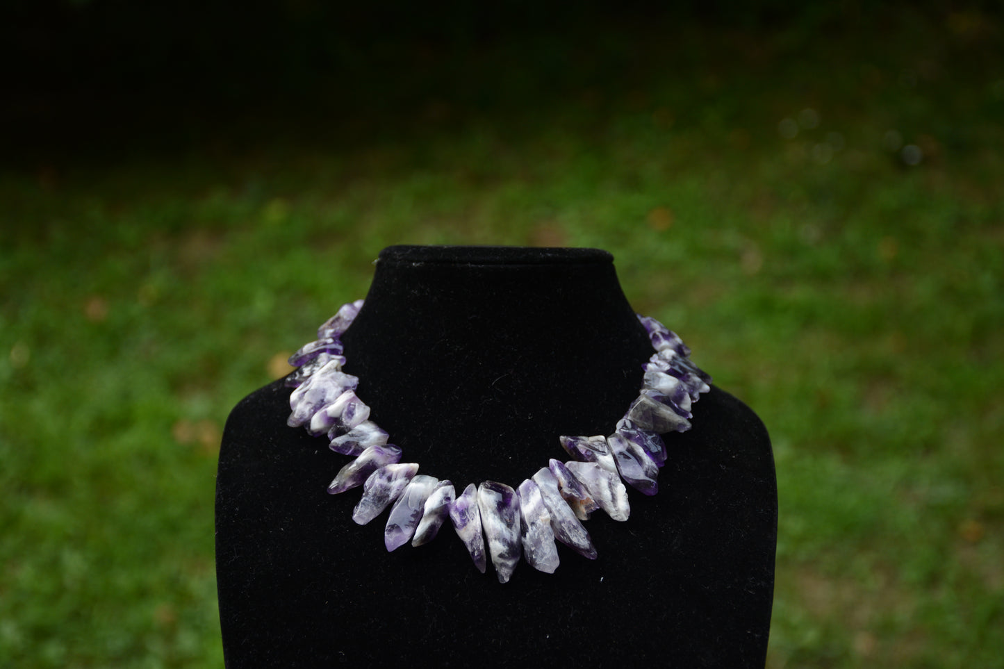 Violeta