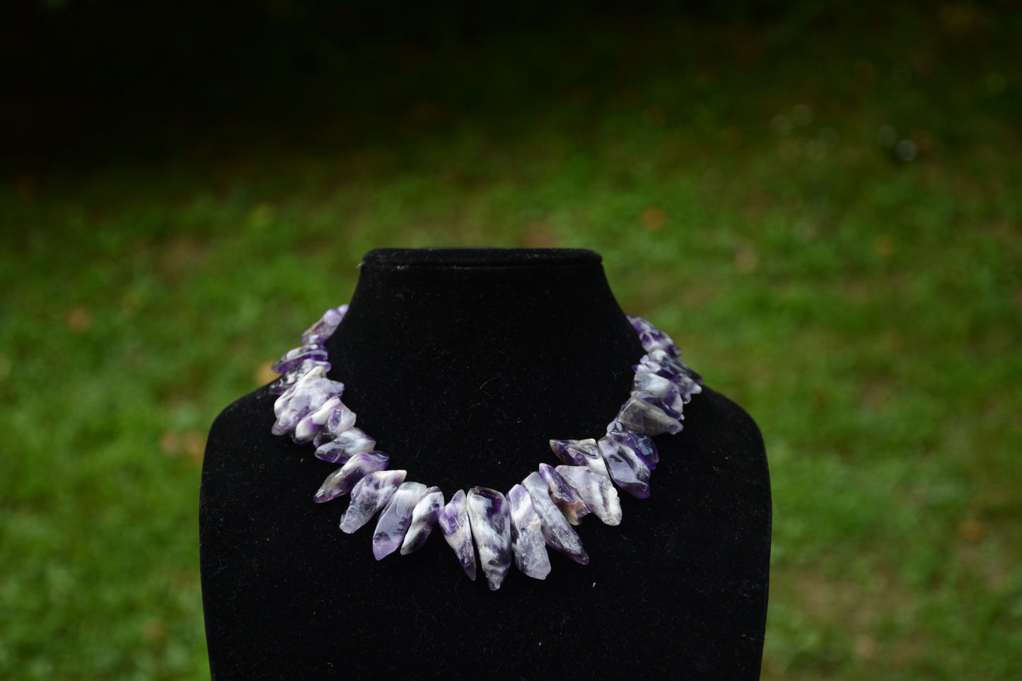 Violeta