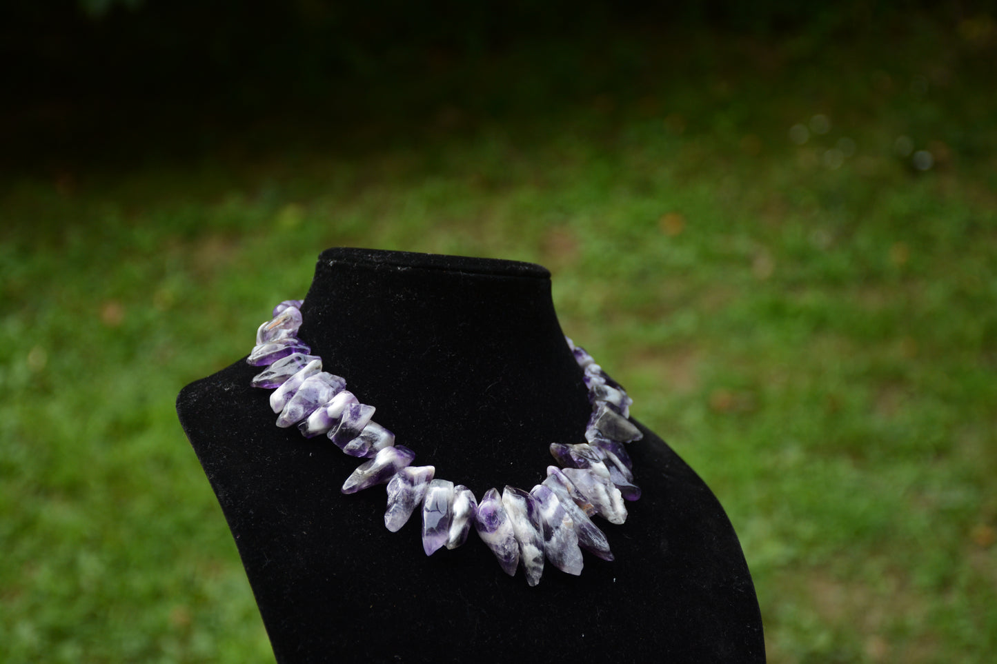 Violeta