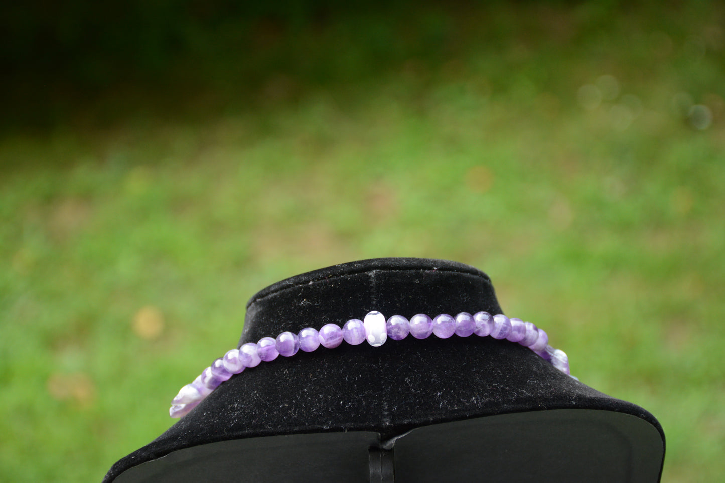 Violeta